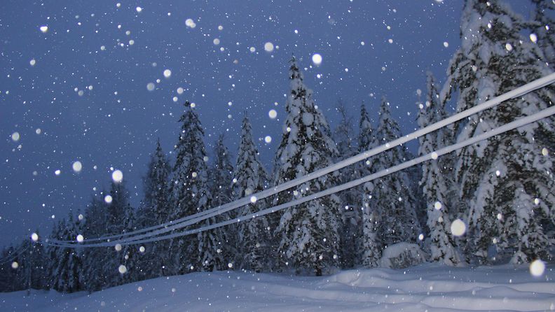 Lukijan kuva sähkökatko tykkylumi lumisade metsä talvi