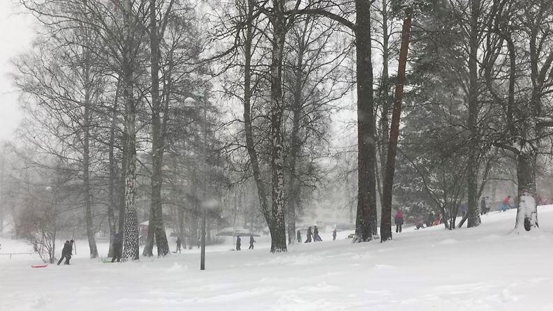 Koululaisia mäessä Munkkiniemessä