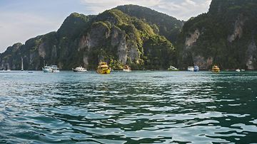 AOP Ko Phi Phi Thaimaa