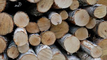 1.03749085 aop metsäteollisuus tukit puut
