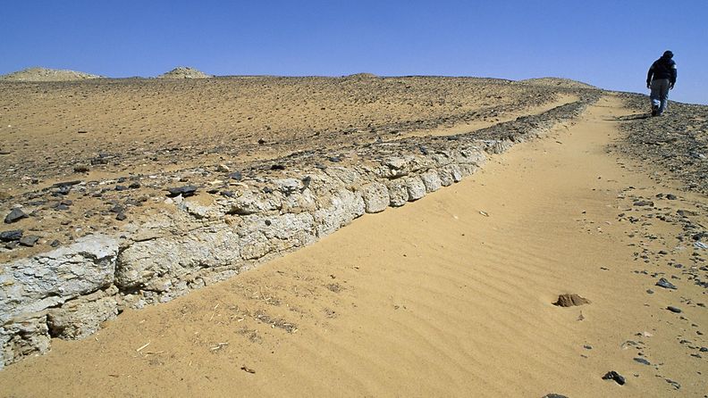 egyptin aavikko