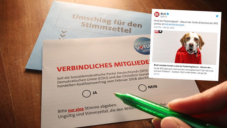Koirakin voisi äänestää Saksan hallituksesta