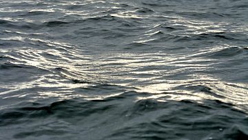 aallokko aallot vesi meri kuvitus