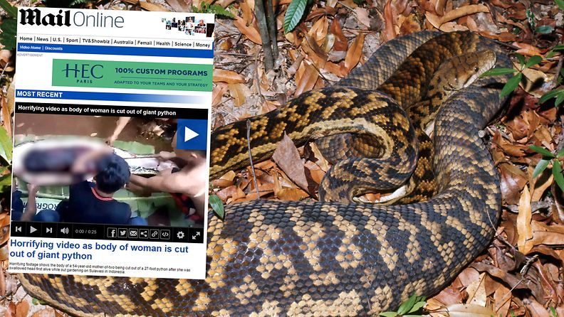 Tapauksesta leviällä videolla näkyy, kuinka käärmeen sisältä paljastuu kammottava löytö
