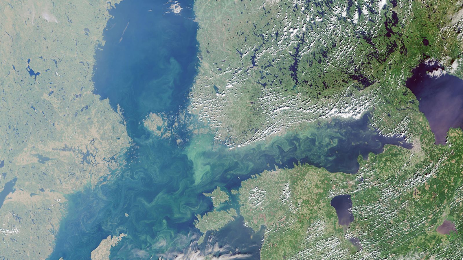 Satelliittikuva paljastaa Suomenlahden karmivan sinilevätilanteen -  