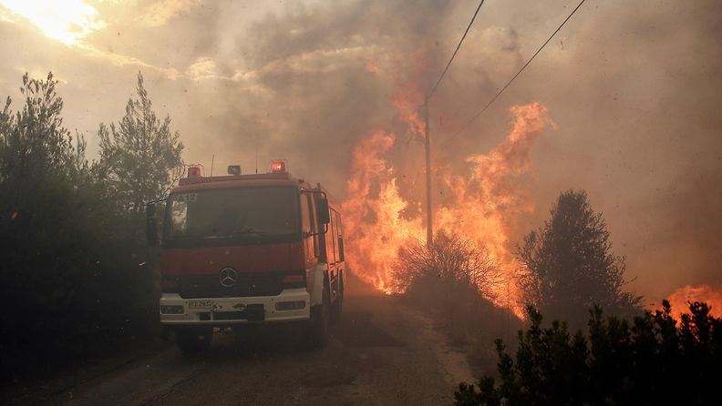kreikka metsäpalo maastopalo (8)