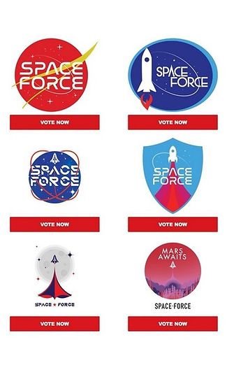 Space Force logot2