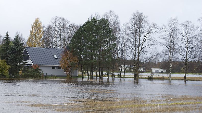 Rankkasateiden nostattama tulvavesi nousi pelloille ja saartoi taloja Ilmajoen Tuomikylässä.