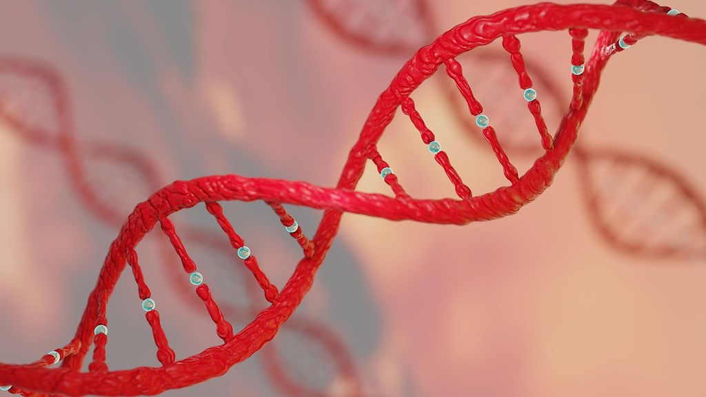 DNA-kartoitukset paljastavat jopa syrjähyppyjä – yhä useampi tavallinen  suomalainen tutkii geeniperimänsä 