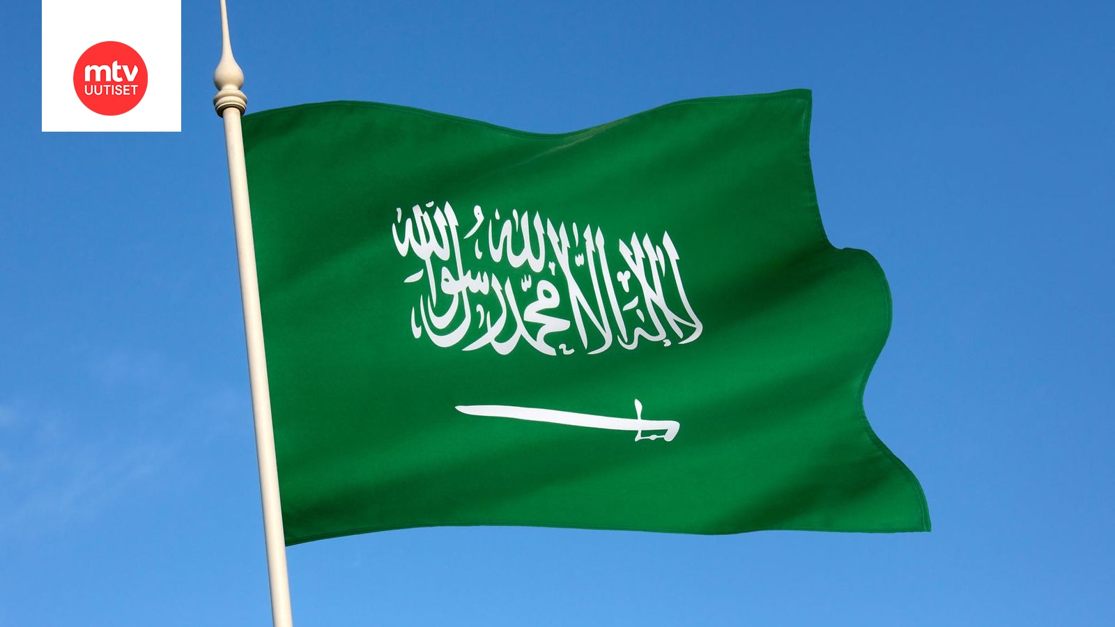 Белый флаг на зеленом фоне. Зеленый флаг. Флаги Туркменистана Саудовская Аравия. Сауди Арабия 81. Флаг Саудовской Аравии круглый.