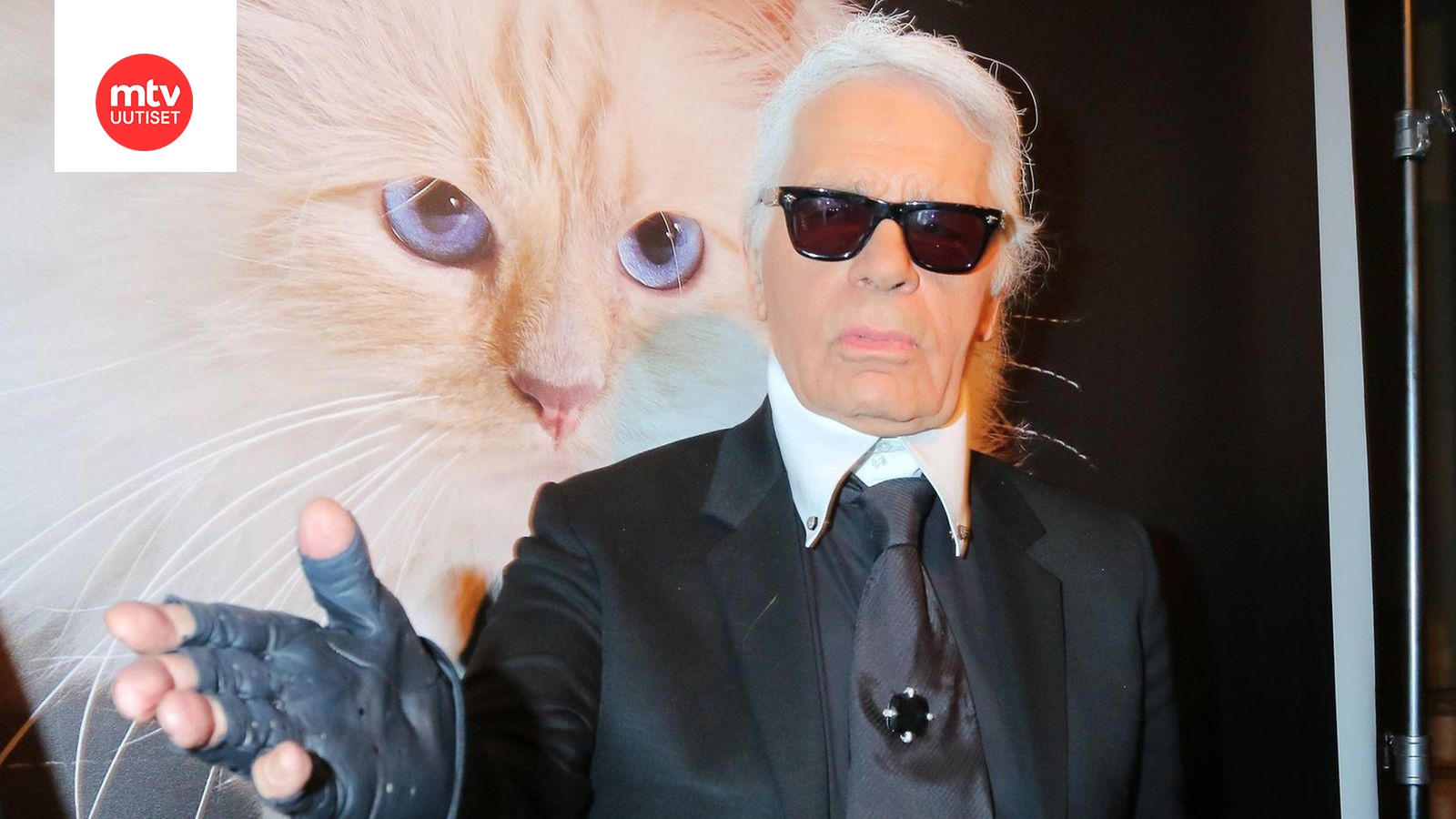 Muotilegenda Karl Lagerfeldin rakas kissa suree isäntänsä kuolemaa:  