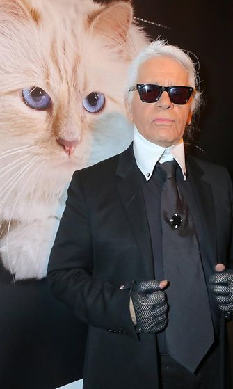 Karl Lagerfeld ja piirros Choupette-kissasta helmikuu 2015 2