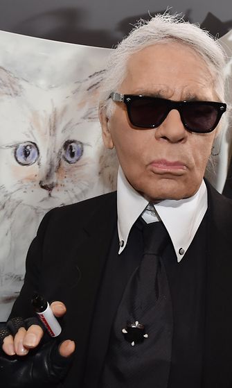 Karl Lagerfeld ja piirros Choupette-kissasta helmikuu 2015 3