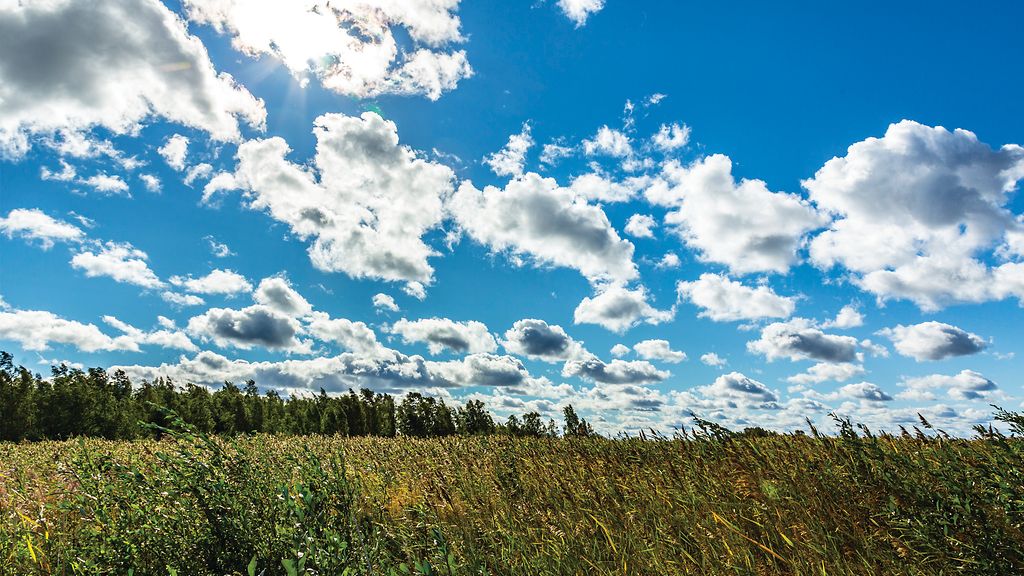 Suomi On Maailman Onnellisin Maa – Jo Kolmatta Kertaa Peräkkäin ...