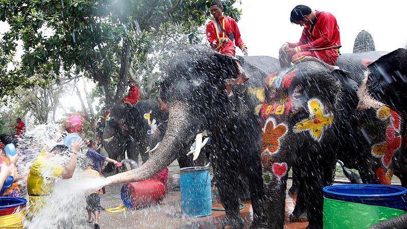 Thaimaa Songkran vesisota 2019 uusi vuosi norsu