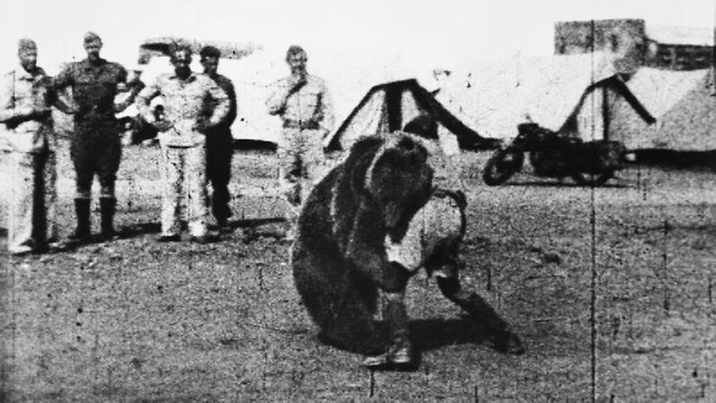 Polish_22_Transport_Artillery_Company_watch_as_one_of_their_comrades_play_wrestles_with_Wojtek_their_mascot_bear_during_their_service_in_the_Middle_East.