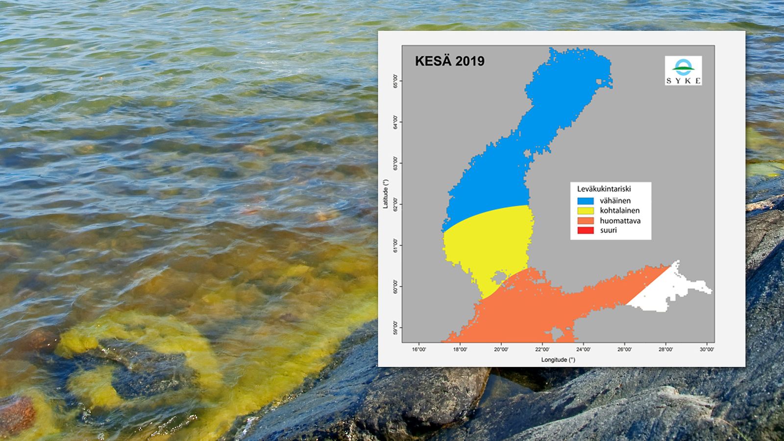 Sinileväkukintojen riski on huomattava Suomen merialueilla tänä kesänä –  kukintoihin on aina syytä suhtautua varoen 