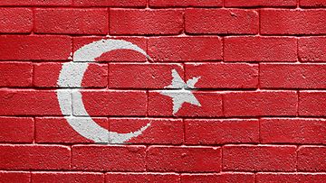 kuvituskuva Turkki lippu