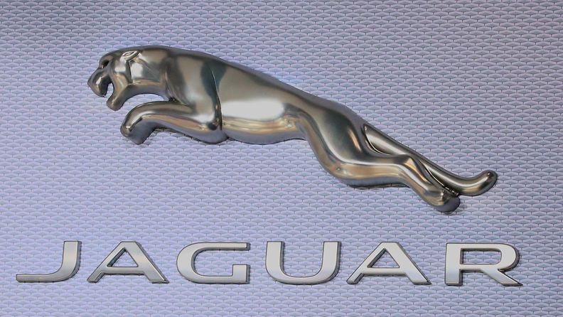 AOP jaguar logo 17.54910348