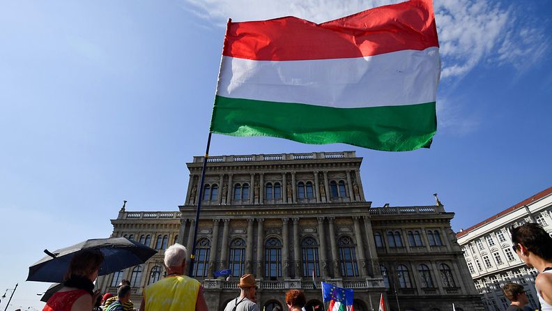 AOP, Unkari, lippu