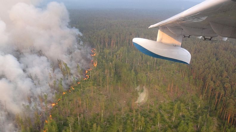 AOP Venäjä metsäpalo