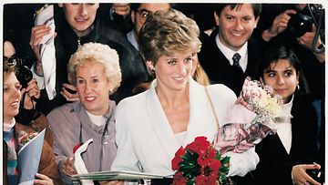 prinsessa Diana 1994