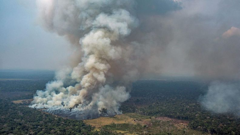 LK, Amazon, metsäpalot, Brasilia