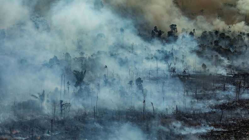 AOP Amazon metsäpalo 2019