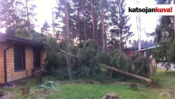 Myrskytuhoja Saukkolassa. Kuva: Pekka Hellén