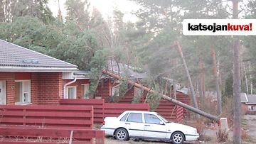 Myrsky kaatoi puita talojen päälle. Kuva: Antti Aaltonen