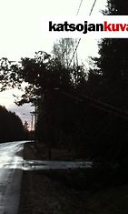 Myrsky katkoi puita sähkölinjojen päälle. 