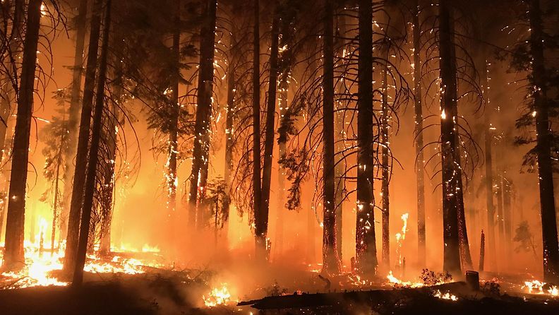 EPA, Kalifornia, maastopalot, Yhdysvallat, tulipalo