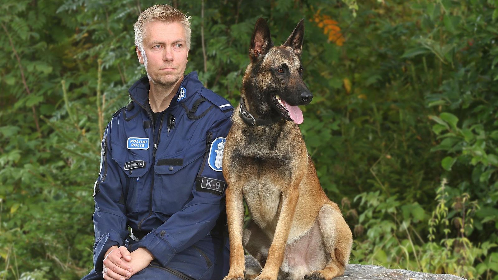 Tässä on sankari! Poliisikoira Viksu palkittiin hengenpelastajana – löysi  dementoituneen miehen maastosta: 