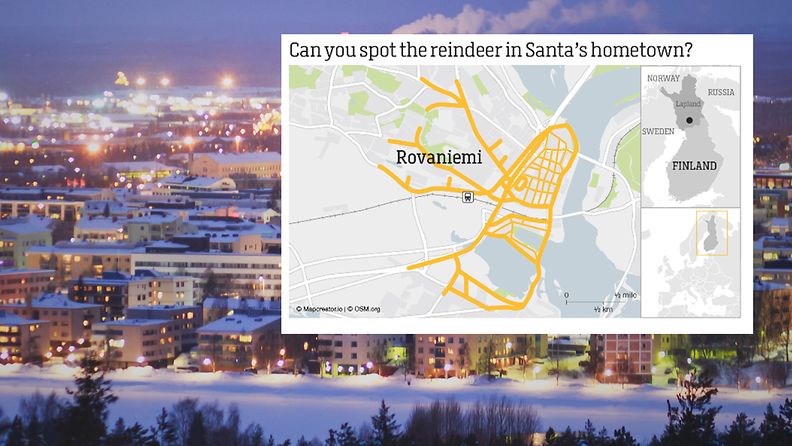 Rovaniemi Can you spot the reindeer