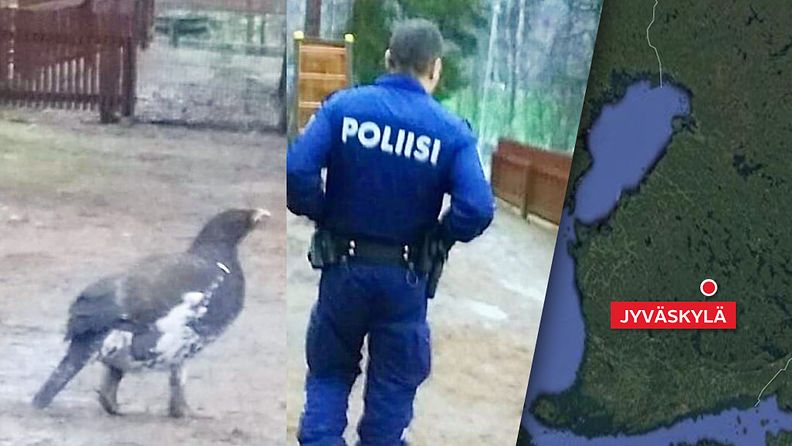 Metso-jyväskylä-poliisi