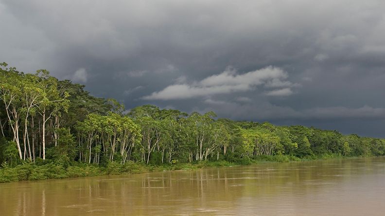Brasilian sademetsä Amazon