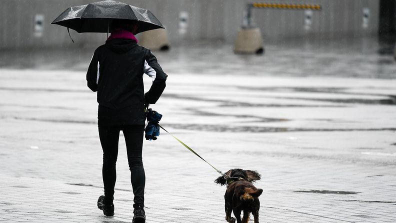 AOP vesisade helsinki koira sateenvarjo