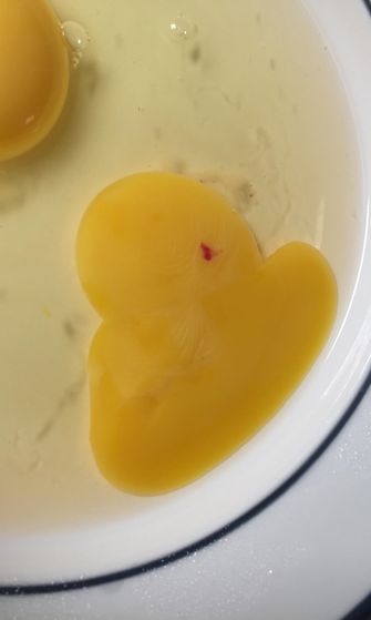 kananmuna veripilkku