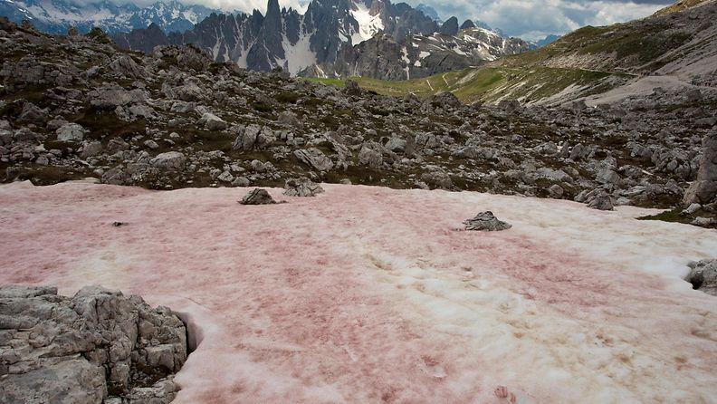 aop vaaleanpunainen jäätikkö, Dolomiitit