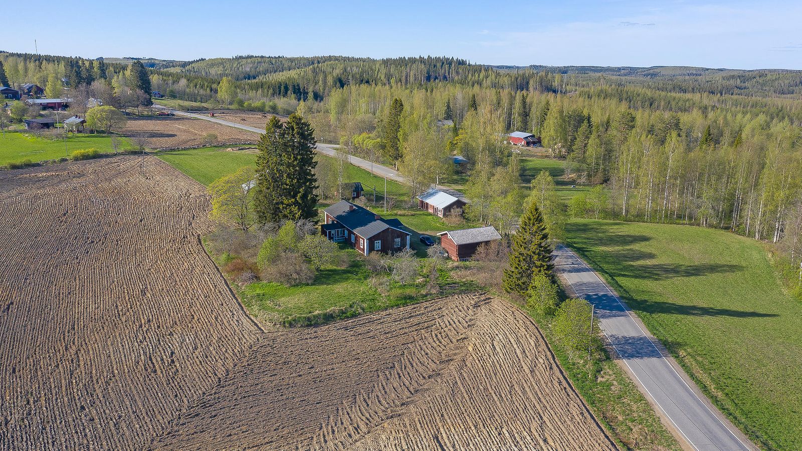 Pujon kukinta voimistuu ja alkaa levitä lounaasta muualle Suomeen -  