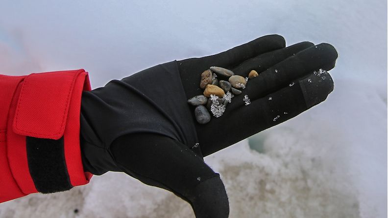 MOSAiC-tutkimuksessa selvisi, että jään laikukkainen ruskea väri johtui jään sisältämistä sedimentistä, pienistä kivistä ja simpukoista.