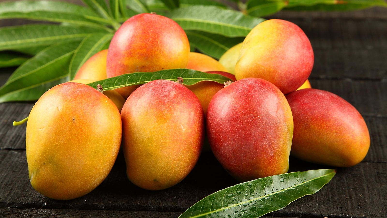 mangot