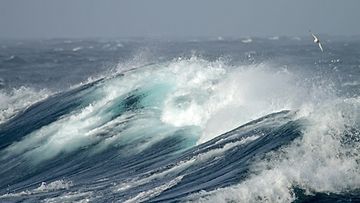 meri aallot myrsy tuuli kuvituskuva AOP