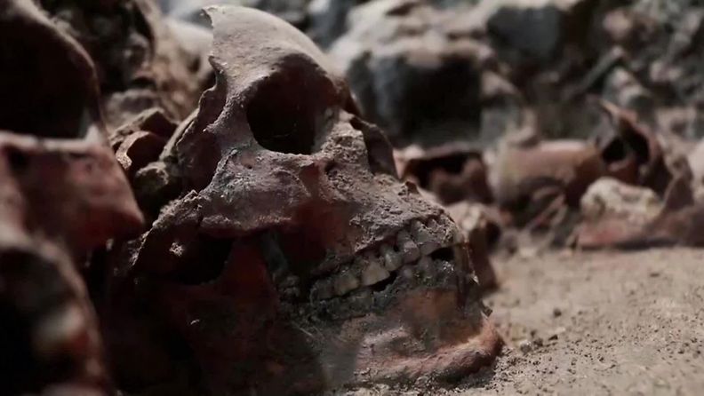 Reuters: Pääkallo, Mexico Cityn arkeologinen löytö