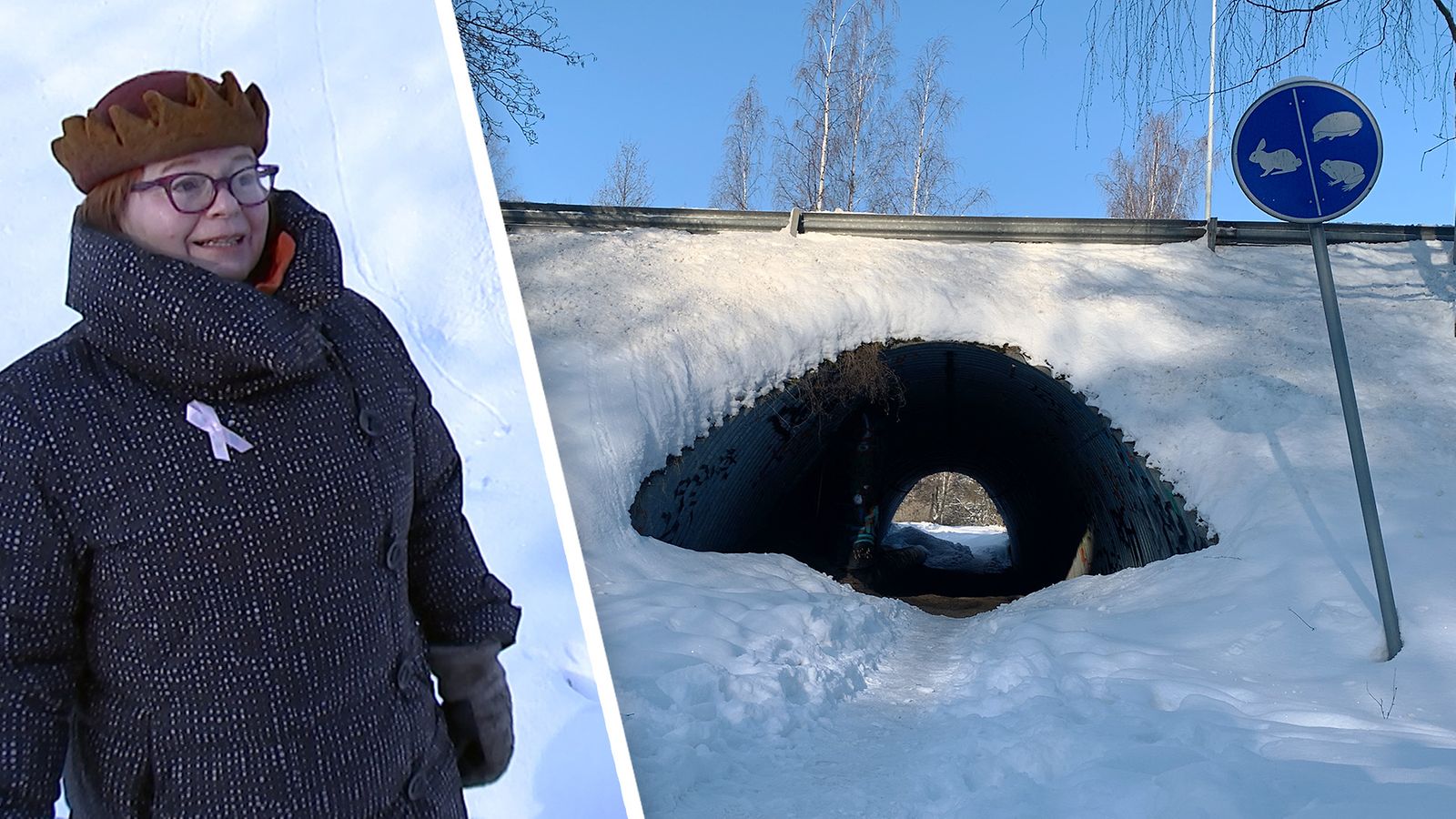 Vilkkaan tien ali kulkee eläinten tunneli Vantaalla – putken päässä  törröttää mystinen liikennemerkki, jonka alkuperää kukaan ei tunnu tietävän  