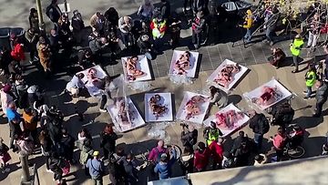 Lihateollisuutta vastaan järjestetty protesti Barcelonassa