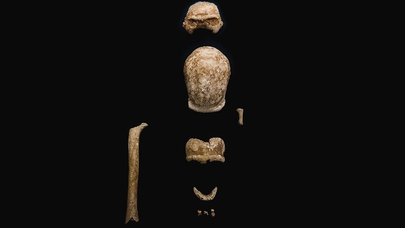 AOP italia neandertalilainen fossiili