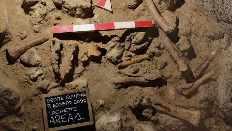 AOP italia neandertalilainen fossiili (1)