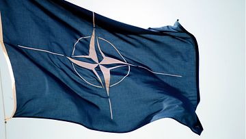 AOP Nato lippu