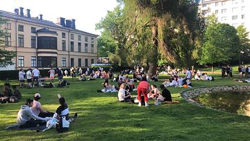 Ihmisiä viettämässä kesäiltaa ja koulujen päättäjäisiä Helsingissä Sinebrychoffin puistossa 5. kesäkuuta 2021. 